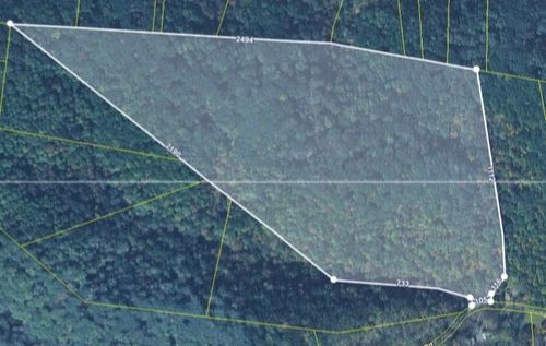 0 Seymour Hollow Rd, Whites Creek, TN, 37189 | Card Image