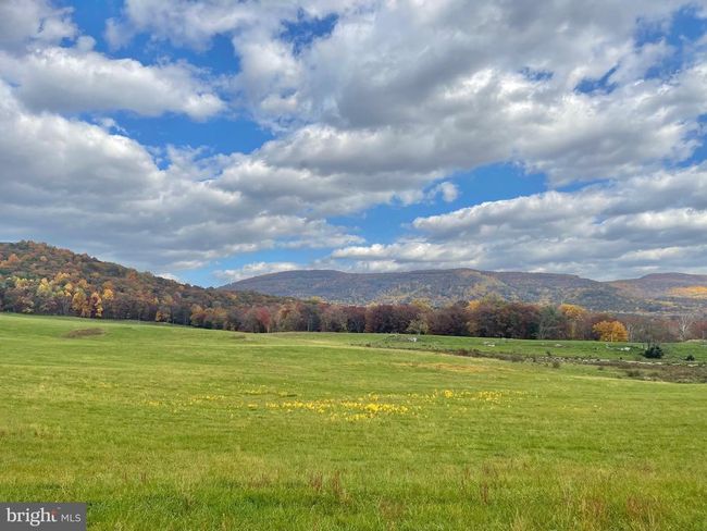63 Buck Mountain Rd, House other with 4 bedrooms, 4 bathrooms and null parking in BENTONVILLE VA | Image 18