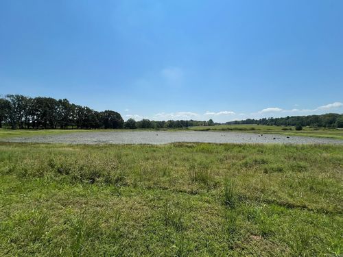 00 Highway 16 W, Clinton, AR, 72031 | Card Image