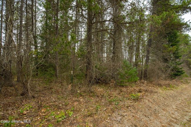 1813 Joyner Dr E, Home with 0 bedrooms, 0 bathrooms and null parking in Cusick WA | Image 39