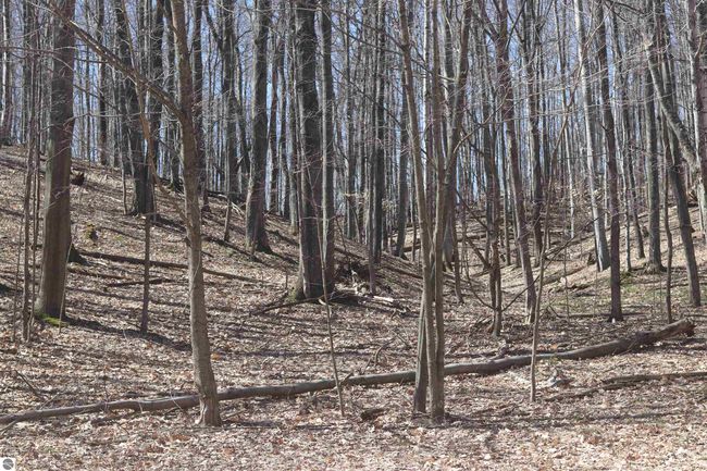 Lot 21 Crystal Ridge Dr, Home with 0 bedrooms, 0 bathrooms and null parking in Beulah MI | Image 6