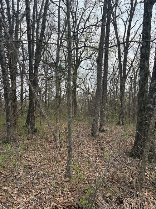 7-rurban-Lots 166 and 167 Huckleberry Circle, Rogers, AR, 72756 | Card Image