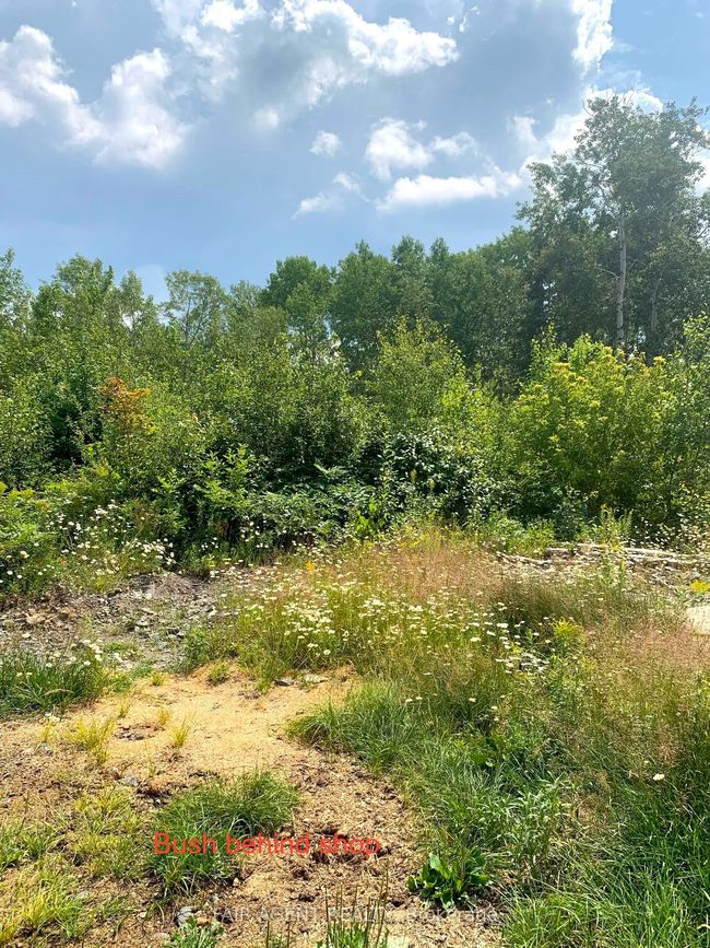 975140 Silver Centre Rd, House other with 4 bedrooms, 2 bathrooms and 10 parking in North Cobalt ON | Image 28