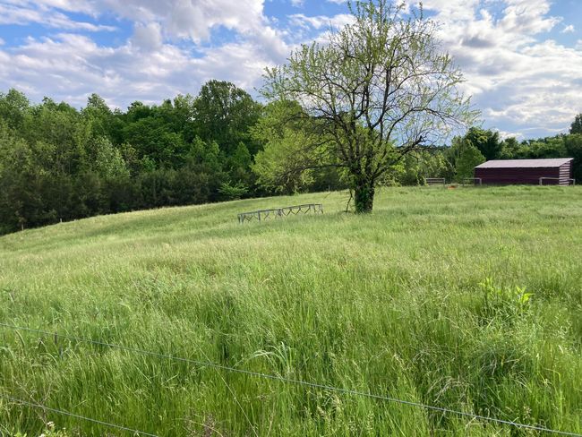 265 - 24265 S Mohawk Rd, Home with 0 bedrooms, 0 bathrooms and null parking in Mohawk TN | Image 12