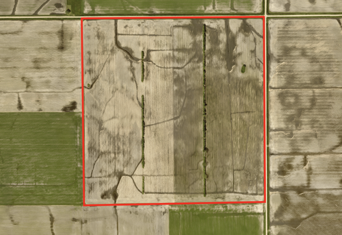 xxx 260th St, Rothsay, MN, 56579 | Card Image