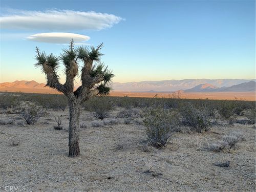 0 Vl Near Lucerne Valley Cutoff, Barstow, CA, 92311 | Card Image