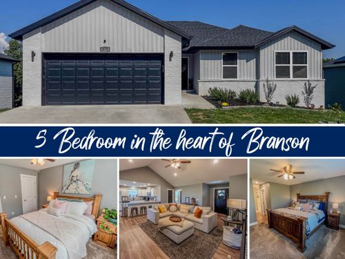 175 Sunrise Villa Dr, Branson, MO, 65616-8059 | Card Image