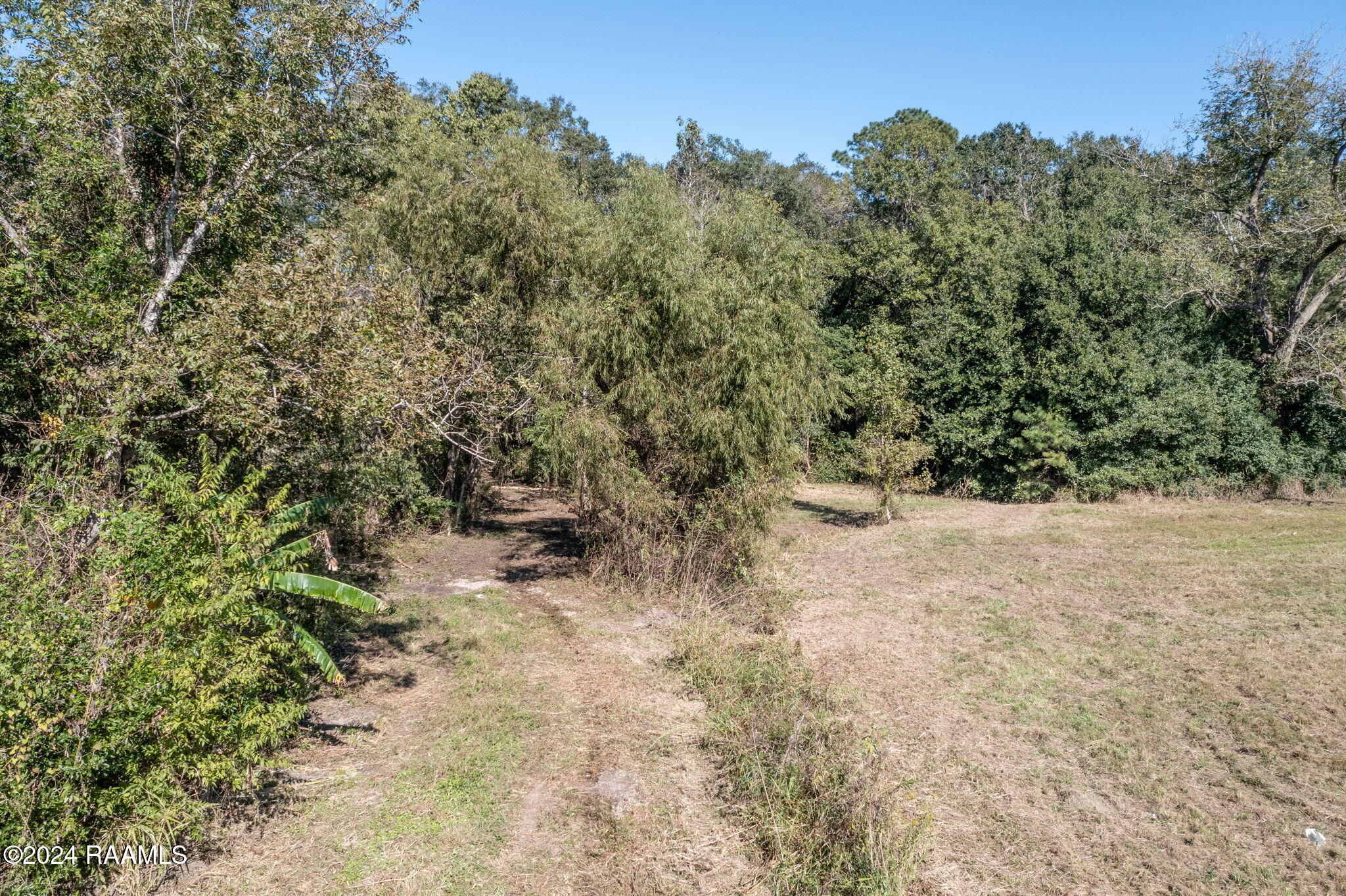 Land in Jeanerette 4