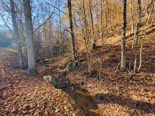 00 Ingram Branch Rd, Roan Mountain, TN, 37687 | Card Image