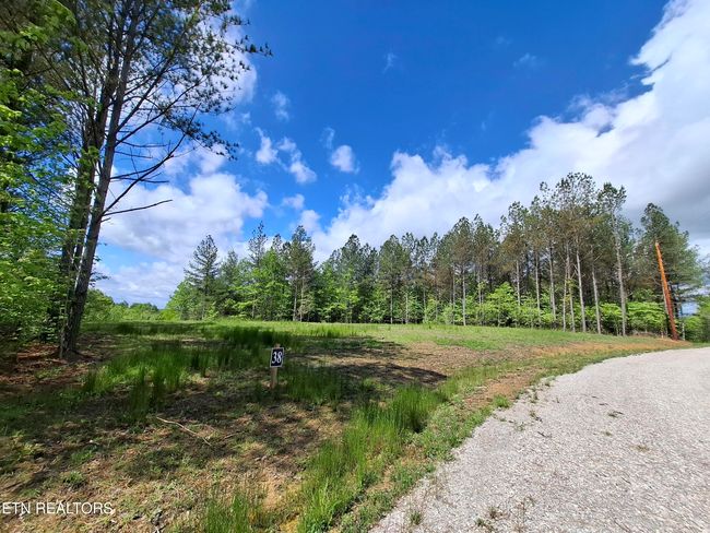 38 Stonecipher Ct, Home with 0 bedrooms, 0 bathrooms and null parking in Sunbright TN | Image 5