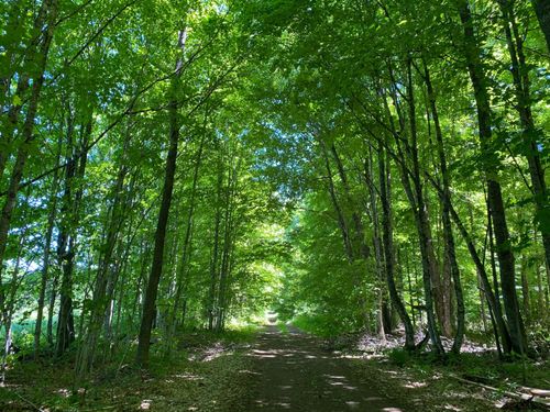 Off Niemi Ln, Ironwood, MI, 49938 | Card Image