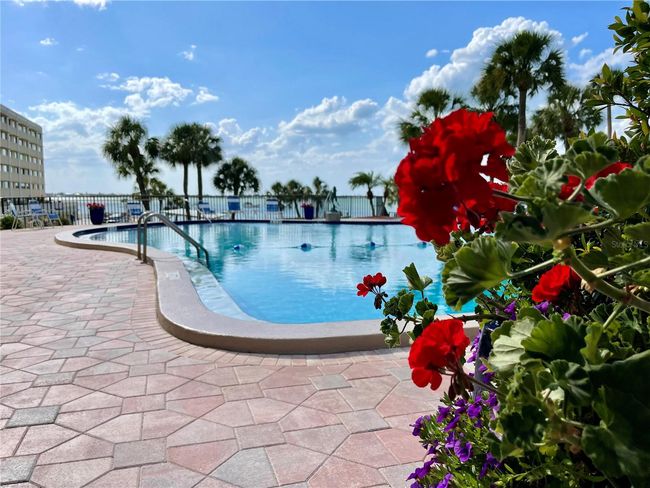 APT-114C - 100 Bluff View Dr, Condo with 2 bedrooms, 2 bathrooms and null parking in BELLEAIR BLUFFS FL | Image 40