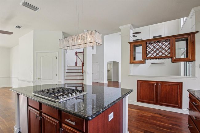 19803 Prince Benjamin Dr, House other with 5 bedrooms, 4 bathrooms and null parking in LUTZ FL | Image 19