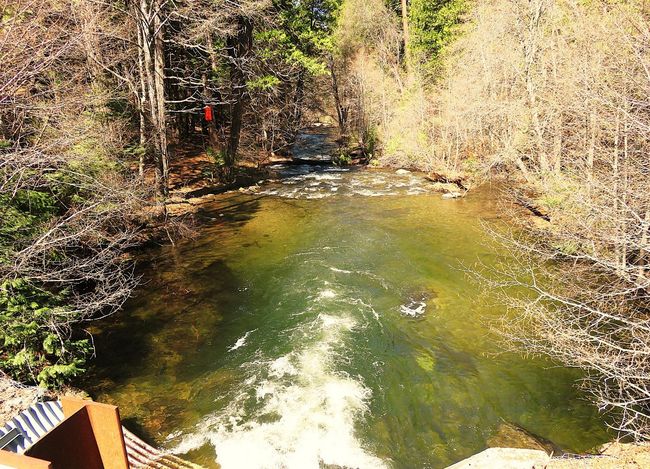 0 Forest Route 7 N42, House other with 1 bedrooms, 1 bathrooms and null parking in West Point CA | Image 21