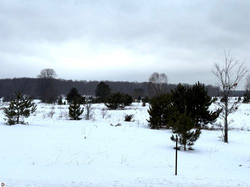 17.5 A Creighton Road, South Boardman, MI, 49680 | Card Image