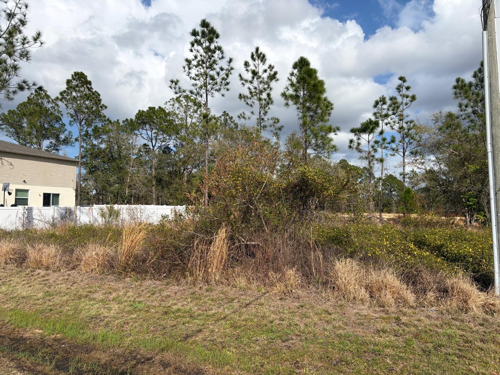 Land in POINCIANA 3