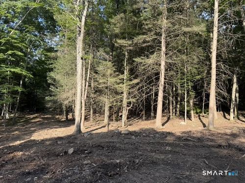 Lot 1 Chalybes Rd W, Roxbury, CT, 06783-1418 | Card Image