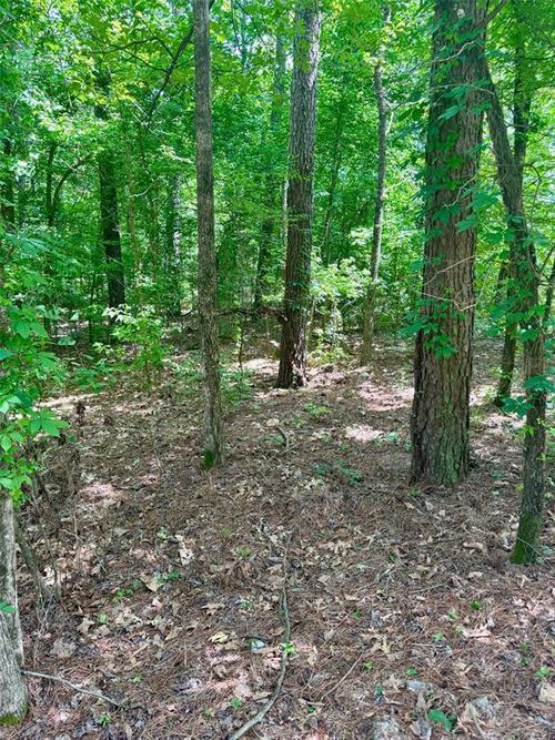 125 Pawpaw Trl, Broken Bow, OK, 74728-7295 | Card Image