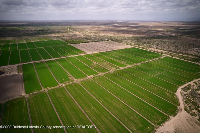 1232 Black River Village Rd, Home with 0 bedrooms, 0 bathrooms and null parking in Carlsbad NM | Image 60