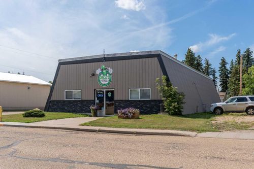 4901 48 Street, Sedgewick, AB, T0B4C0 | Card Image