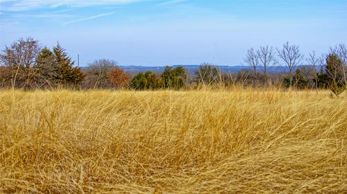 TBD Fm 3206, Saint Jo, TX, 76265 | Card Image