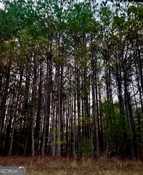 3230 Steadman Rd, Tallapoosa, GA, 30176-2123 | Card Image