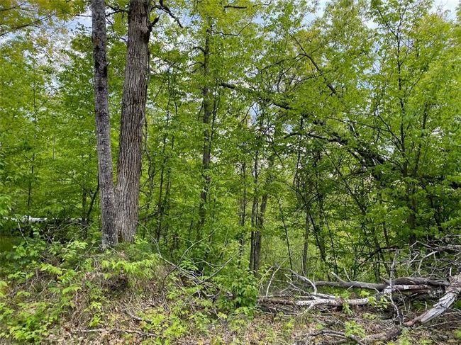 0 Hustvet Dr, Home with 0 bedrooms, 0 bathrooms and null parking in Trego WI | Image 6