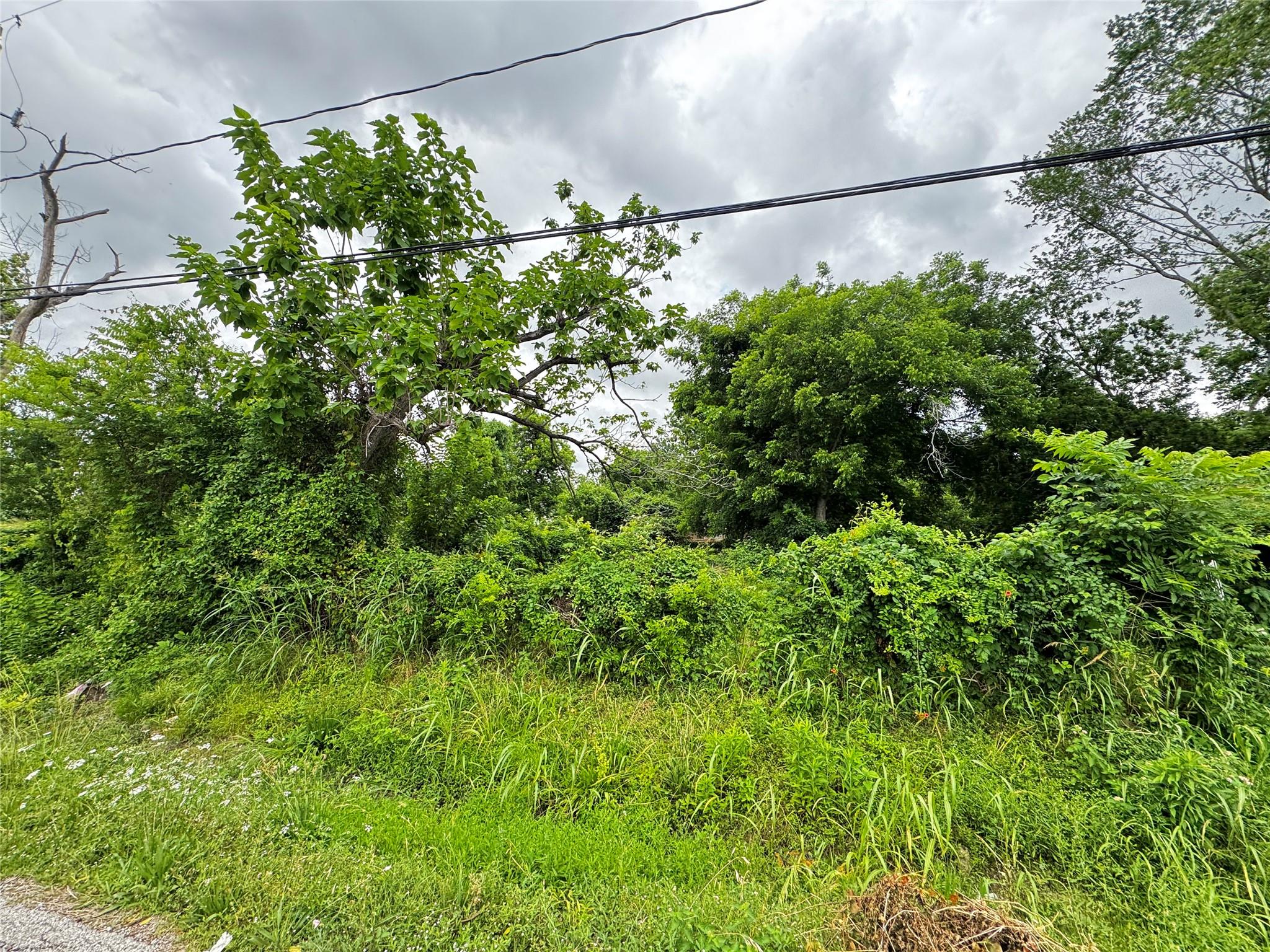 Land in Houston 3