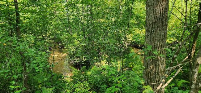 22 AC Southern Road, Home with 0 bedrooms, 0 bathrooms and null parking in Lyndon WI | Image 5