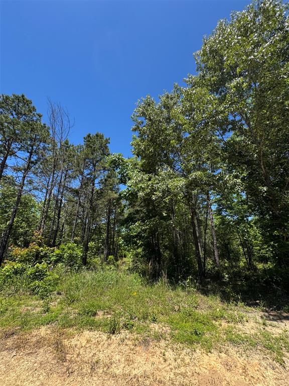Land in Watson 4