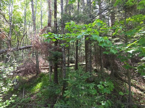 lot-4-ON Solberg Lake Rd E, Phillips, WI, 54555 | Card Image