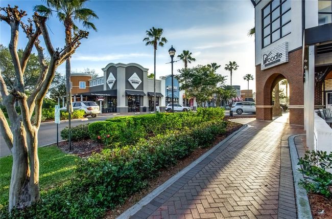 10520 - 10520 White Lake Ct, Condo with 2 bedrooms, 2 bathrooms and null parking in TAMPA FL | Image 35