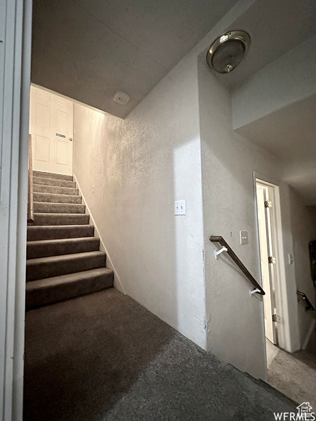 Stairs with carpet floors and a textured wall | Image 51
