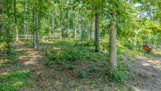 7596 Grasshopper Rd, House other with 3 bedrooms, 3 bathrooms and 6 parking in Georgetown TN | Image 46