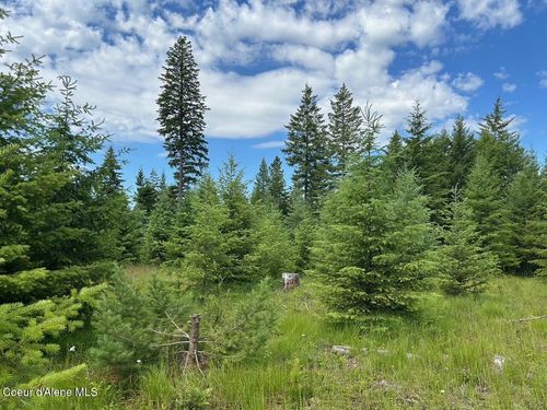 Tract C Usfs 2222a, Moyie Springs, ID, 83845 | Card Image