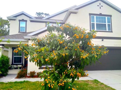 14120 Waterford Creek Blvd, ORLANDO, FL, 32828-6153 | Card Image