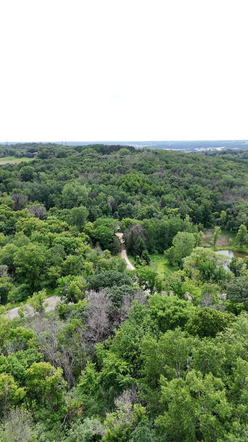 2685 Carver Ave E, Maplewood, MN, 55119-5919 | Card Image