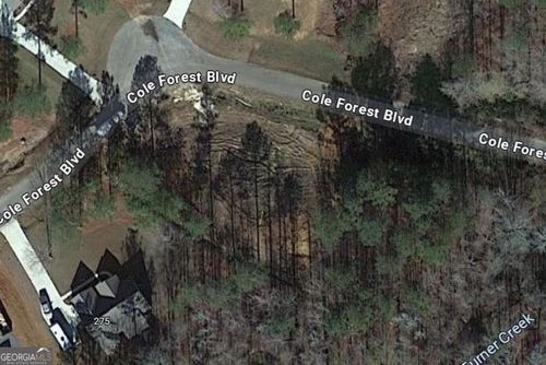 lot-50-lot 50 Cole Forest Blvd, Barnesville, GA, 30204 | Card Image