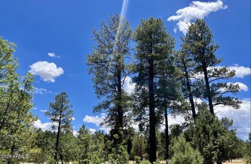 358-4453 Navajo Dr, Happy Jack, AZ, 86024-8627 | Card Image