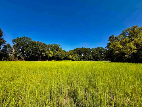 21.10 ACRES Terry Rd, Oakland, TN, 38060 | Card Image