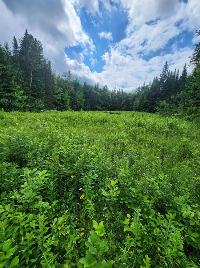 1602 E Haven Rd, House other with 3 bedrooms, 1 bathrooms and null parking in Island Pond VT | Image 57
