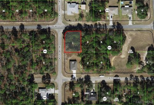 326 W Homeway Loop, CITRUS SPRINGS, FL, 34434-8007 | Card Image
