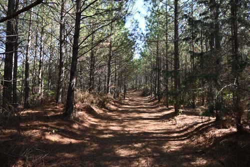 0 Owl Hollow Rd, Linden, TN, 37096 | Card Image