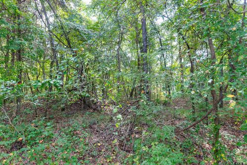 19555 County Road 178, Flint, TX, 75762-6203 | Card Image