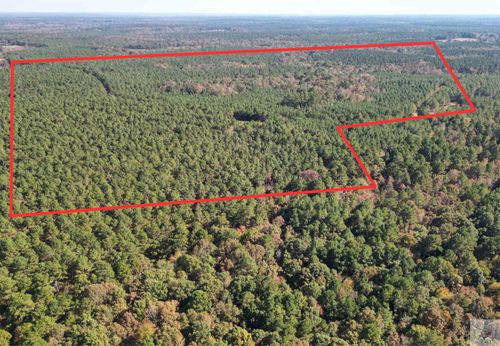 TBD County Road 32, Doddridge, AR, 71834 | Card Image