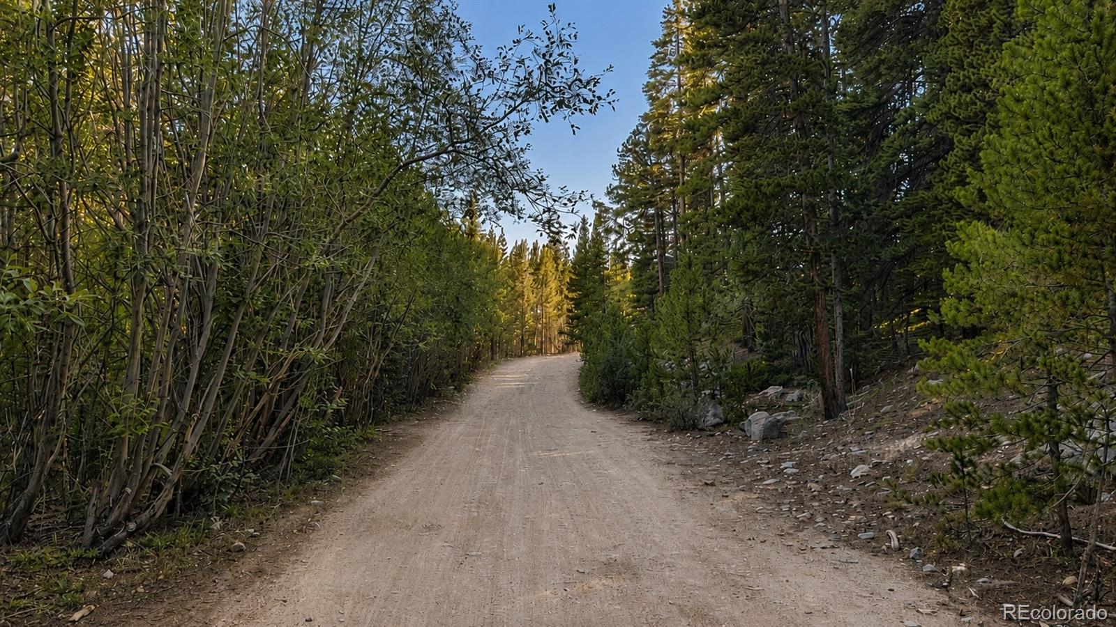 Land in Idaho Springs 5