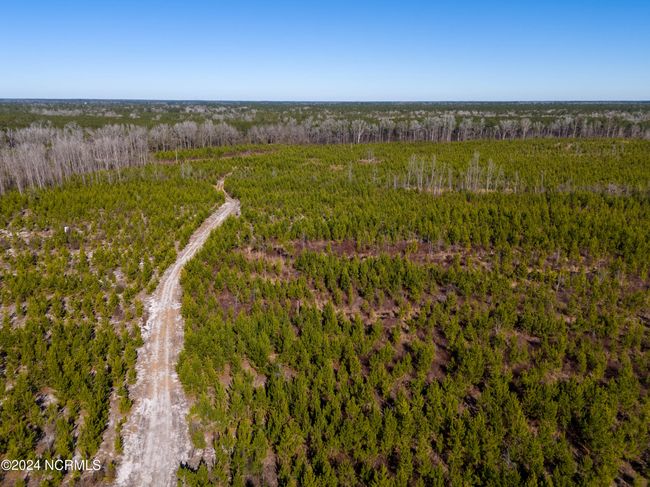 00 Sykes Town Rd, Home with 0 bedrooms, 0 bathrooms and null parking in Currie NC | Image 19