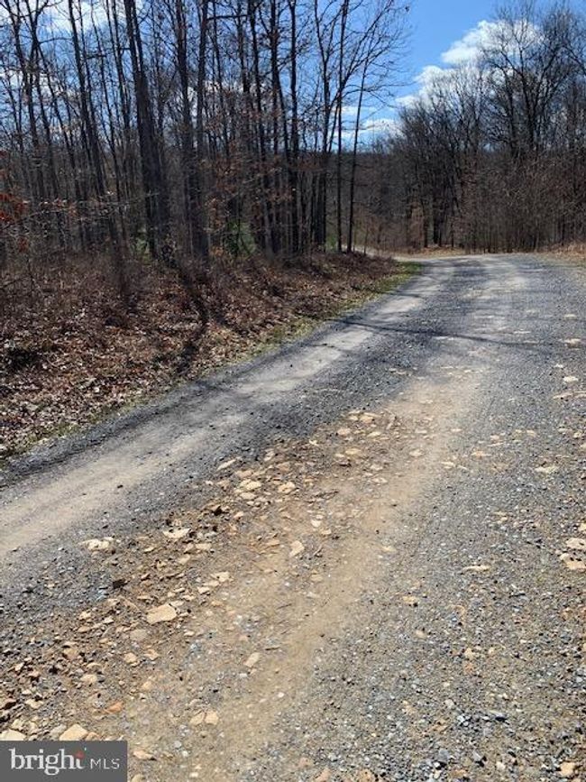 0 Little Wolf Rd, Home with 0 bedrooms, 0 bathrooms and null parking in CLARENCE PA | Image 6
