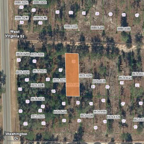 133 W Virginia St, Hawthorne, FL, 32640 | Card Image