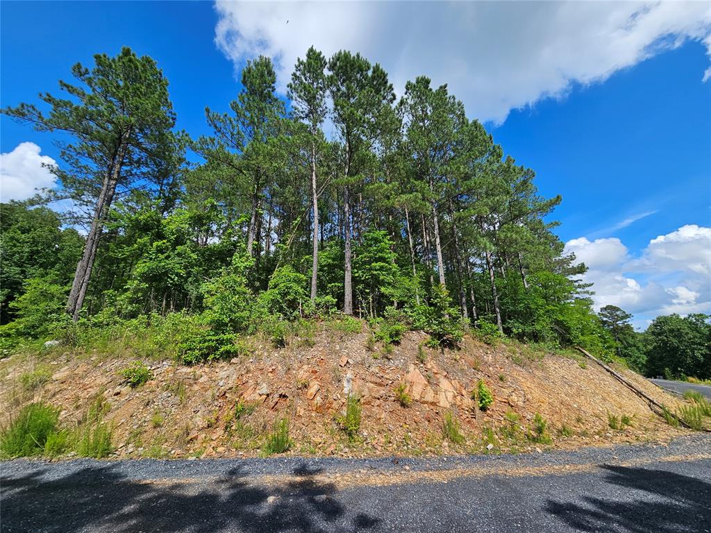 Land in Broken Bow 5
